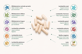 Advanced Live Culture Formula (Probiotic)
